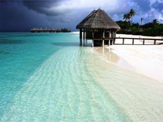 View of a thatched hut on the Beach 