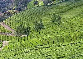 Munnar