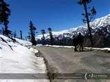 Kulu Manali Road