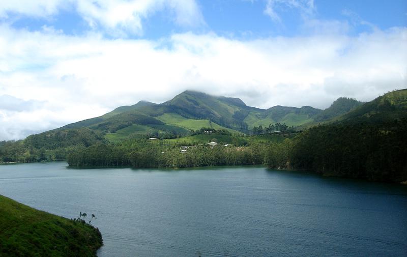 Munnar view