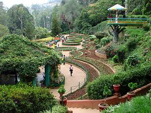 botanical garden_Ooty