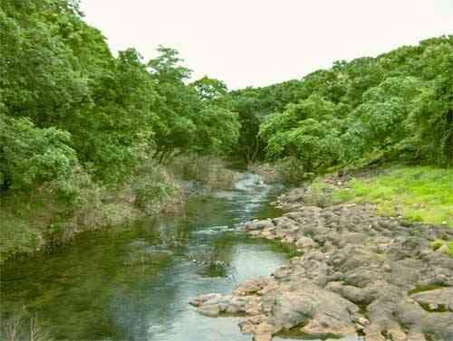 The Sanjay Gandhi National Park -mumbai